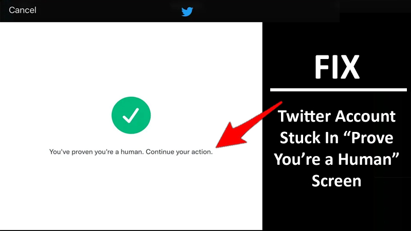 How To Fix Twitter Account Stuck In You Have Proven You Are a Human Screen