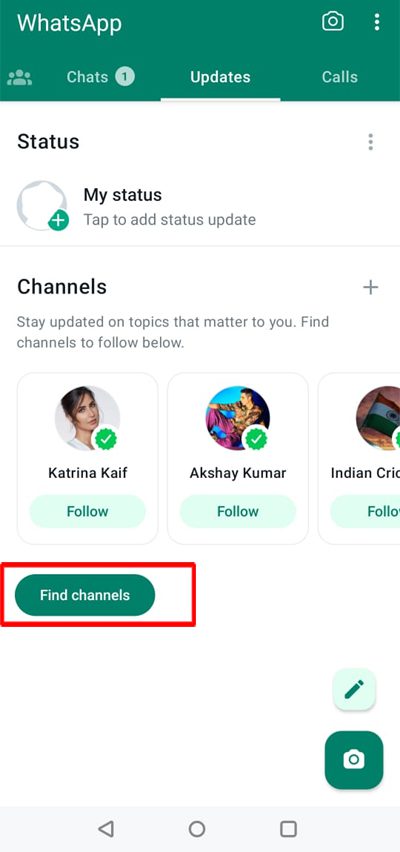 Find WhatsApp Channel