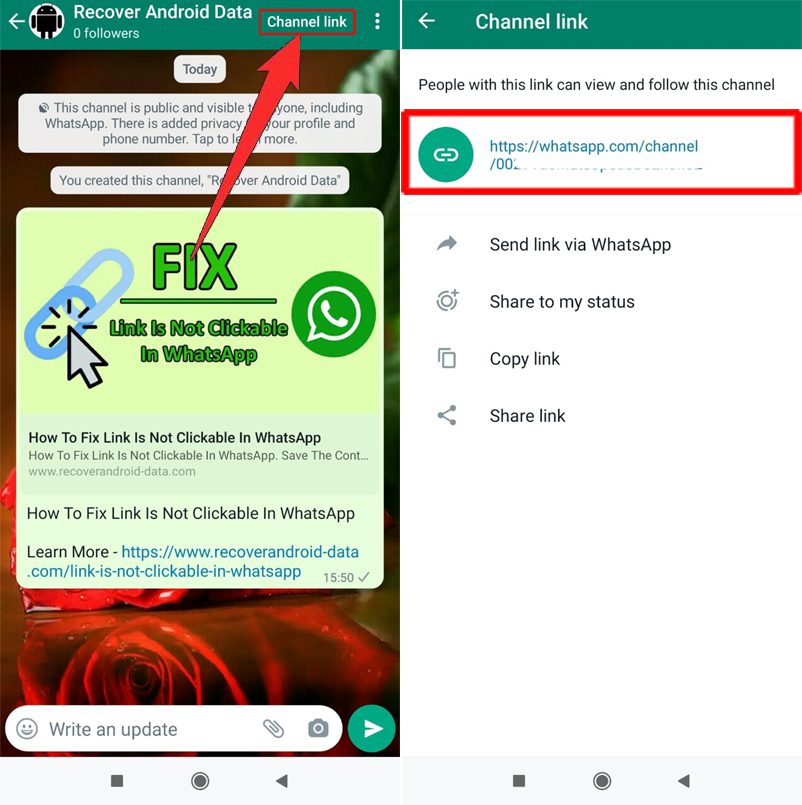 How To View WhatsApp Channel Link