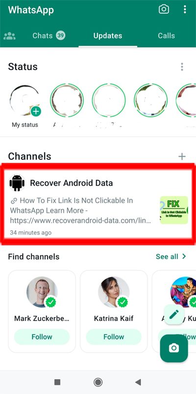 Tap on WhatsApp Channel Name