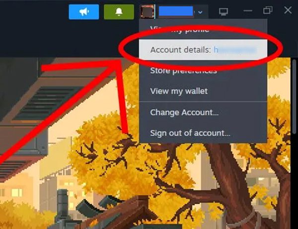 Cancel Your Pending Transaction In Steam