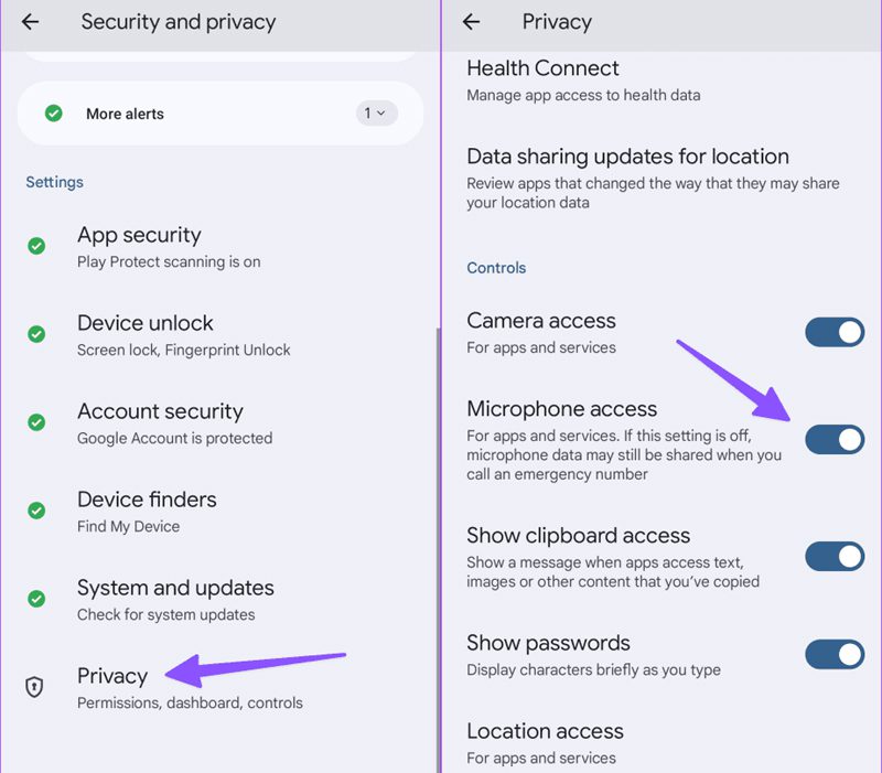 Check System Wide Microphone Permission