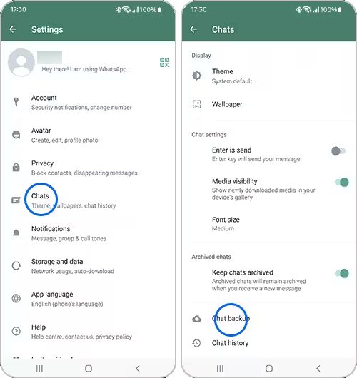 Backup WhatsApp Chat on Old Android