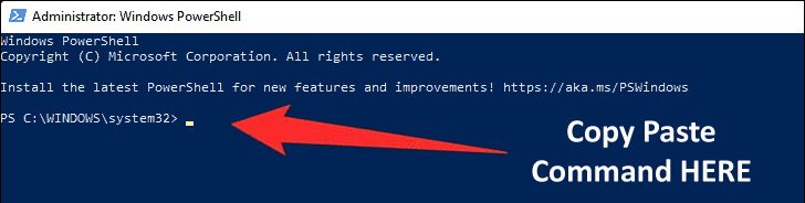 Run a PowerShell Command