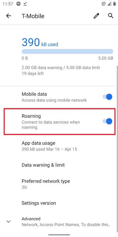 Turn On Data Roaming