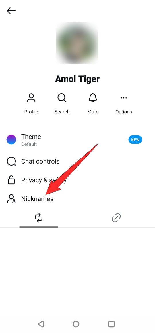 set nickname in instagram chat in mobile